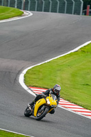 anglesey;brands-hatch;cadwell-park;croft;donington-park;enduro-digital-images;event-digital-images;eventdigitalimages;mallory;no-limits;oulton-park;peter-wileman-photography;racing-digital-images;silverstone;snetterton;trackday-digital-images;trackday-photos;vmcc-banbury-run;welsh-2-day-enduro
